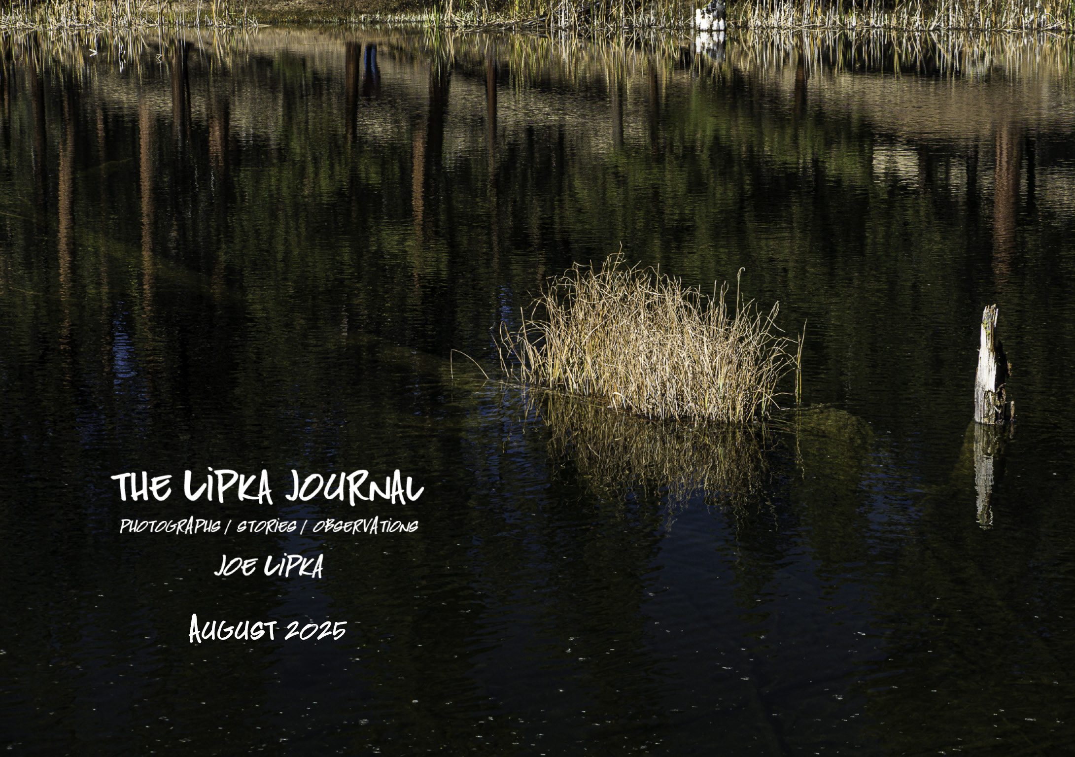 The Pony Bar, Hydro-Logic: Quiet Water and Between Destinations